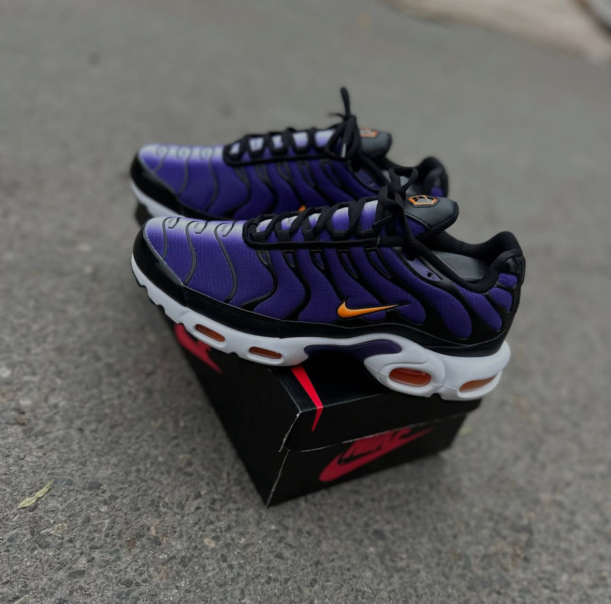 Nike Air Max Plus TN