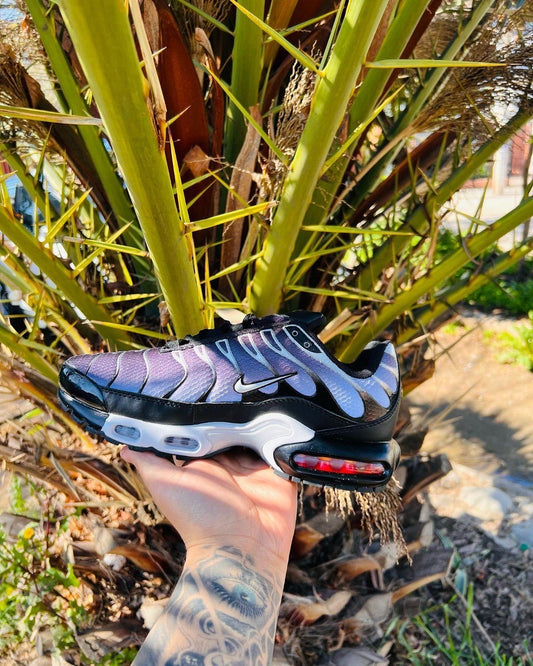 Nike Air Max Plus ‘ black / silver’