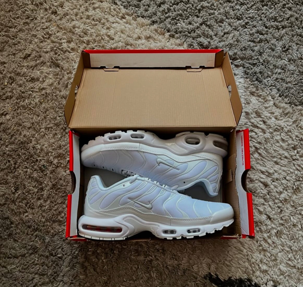 Nike Air Max Plus ‘white’