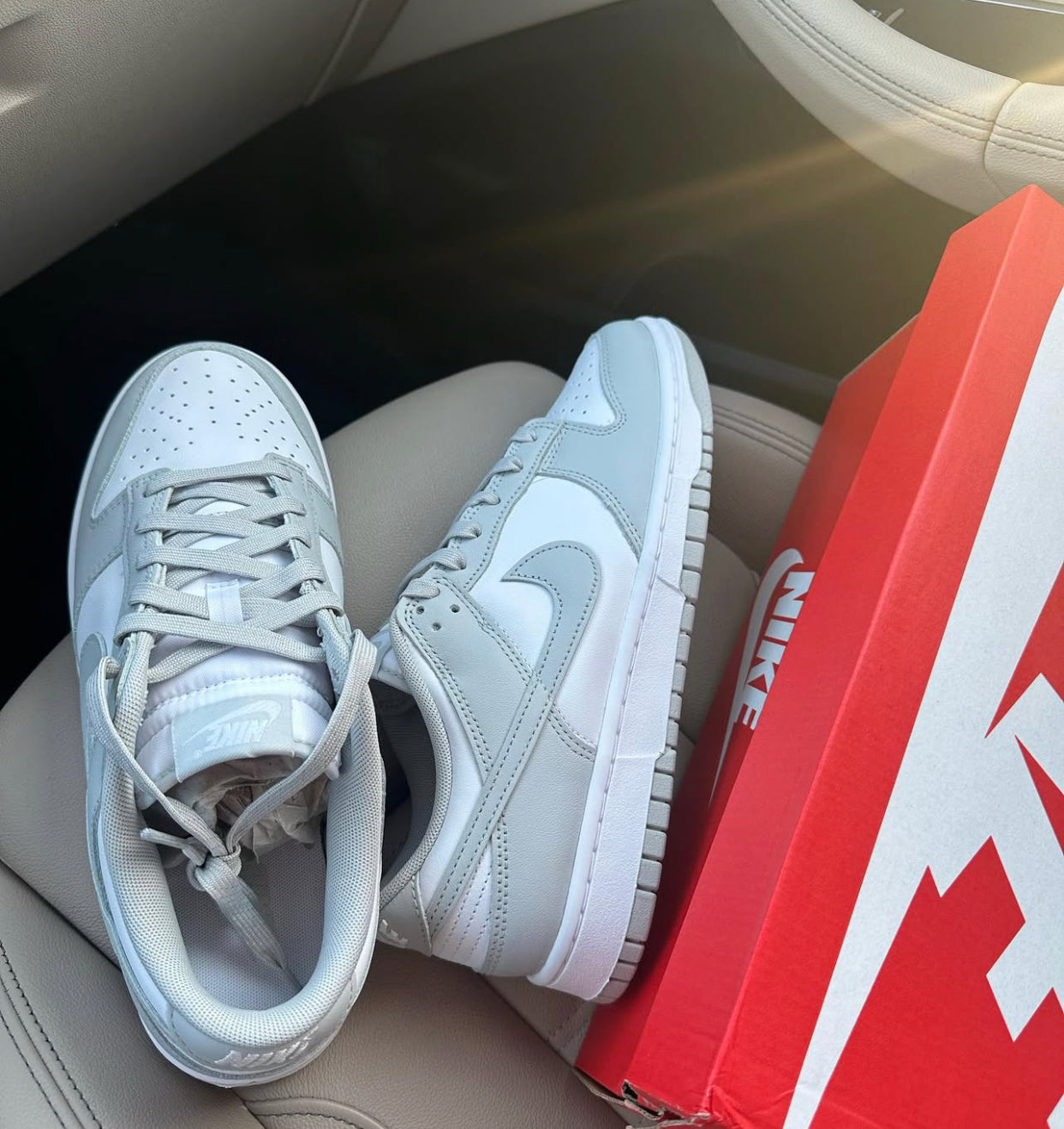Nike SB Dunk low next nature